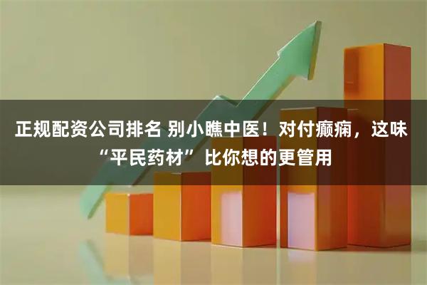 正规配资公司排名 别小瞧中医！对付癫痫，这味 “平民药材” 比你想的更管用