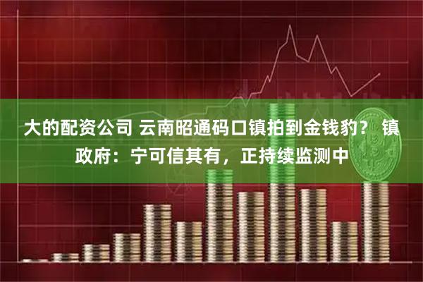 大的配资公司 云南昭通码口镇拍到金钱豹？ 镇政府：宁可信其有，正持续监测中